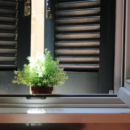 Colosseum New Charming Apartment Рим Екстер'єр фото